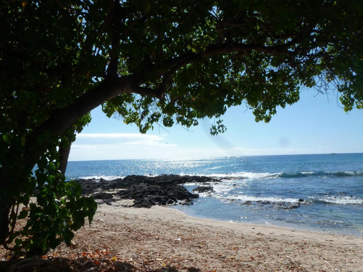 Downtown Hawaiian Paradise Condo With Hot Tub, Pool & Beach - Kona Islander Inn Kailua-Kona Zewnętrze zdjęcie